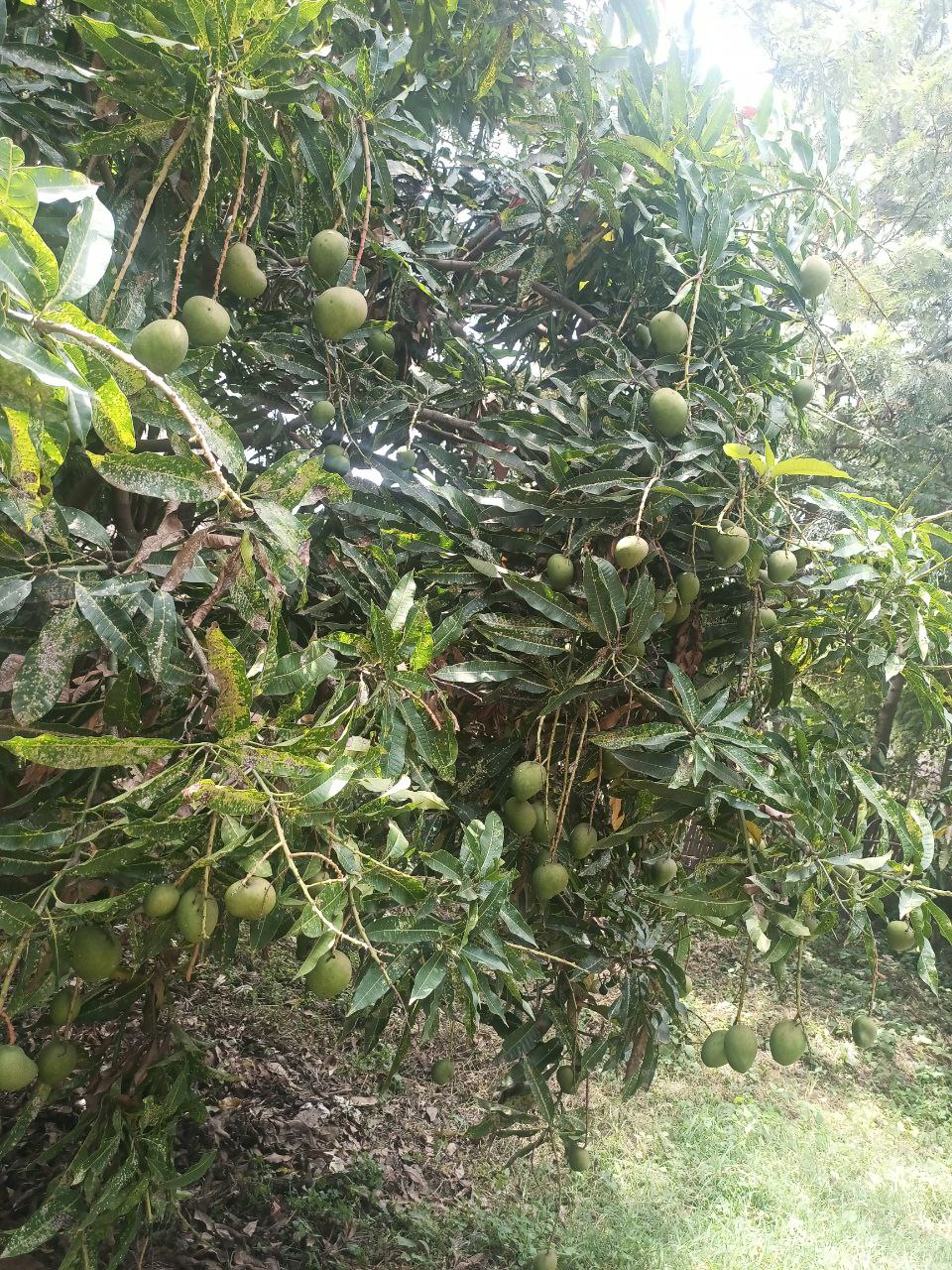 photo_18